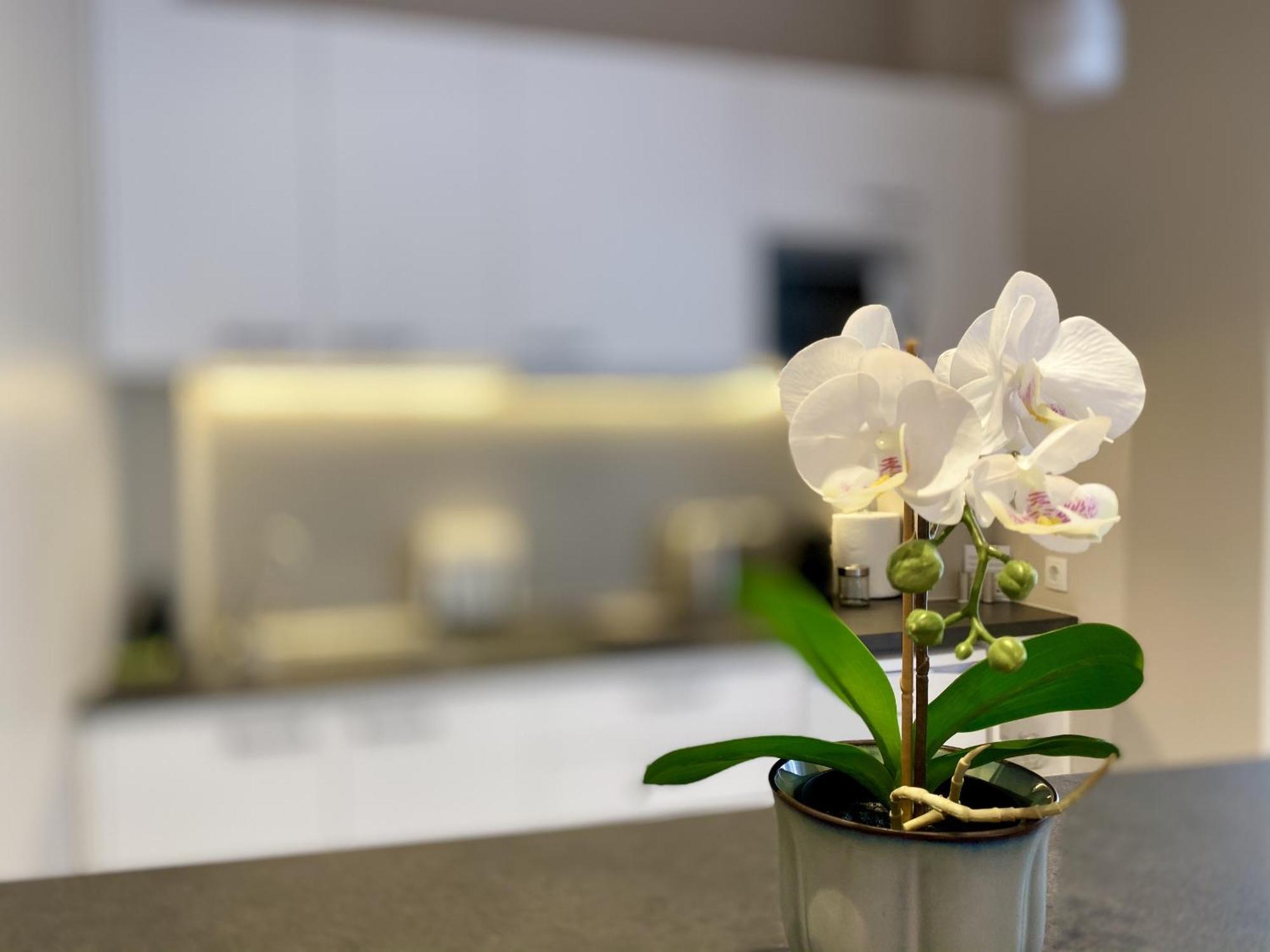 אתונה Luxury Studio In Historical Center, Syntagma-Plaka מראה חיצוני תמונה